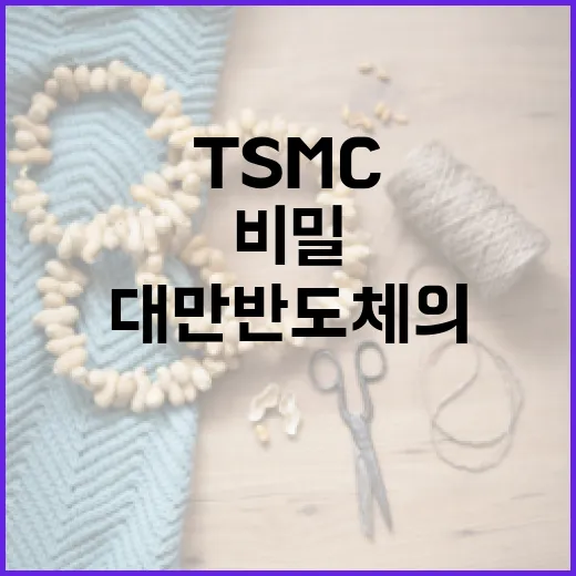 TSMC 대만 반도체의 비밀된 힘 공개!