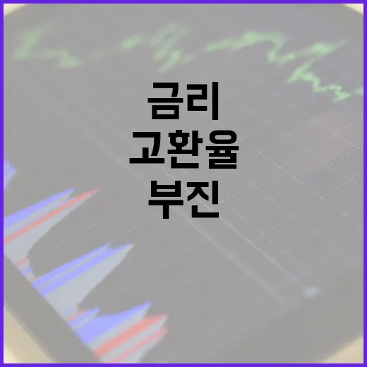 고환율 공포 경기 …