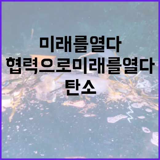 글로벌 탄소규제 한…