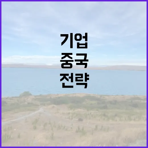 한국 점령 중국 기…