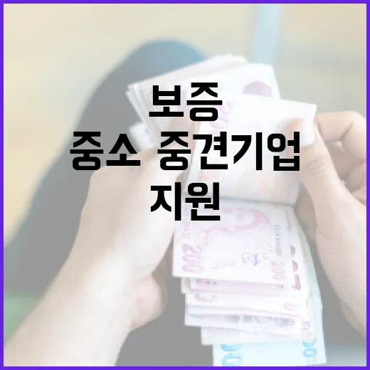 대출·보증 중소·중…