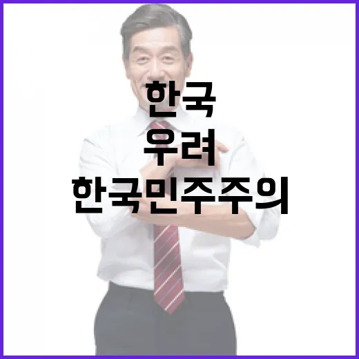 한국 민주주의 미국…