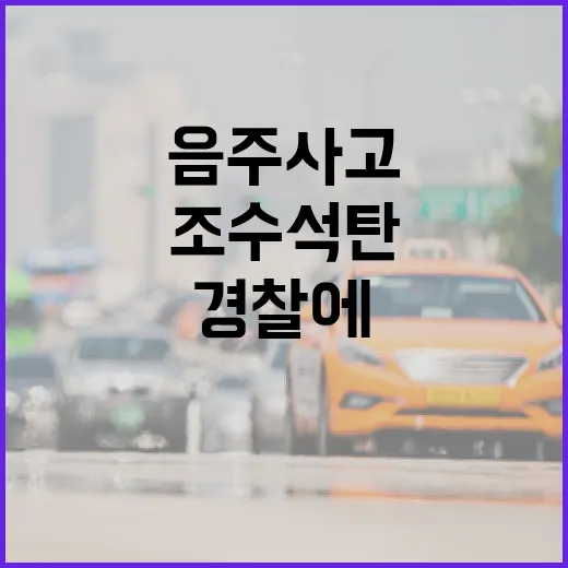 음주 사고 조수석 …