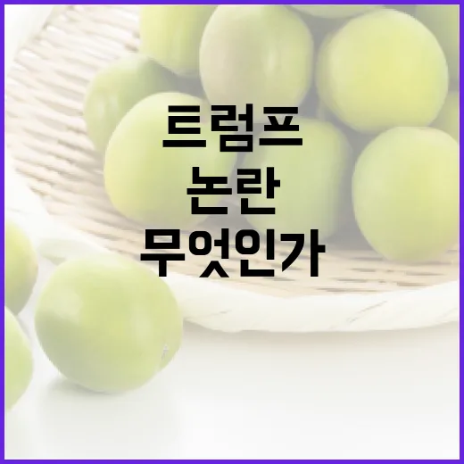 트럼프 사진 의문과…