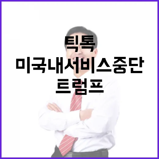 틱톡 미국 내 서비…