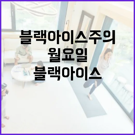 포근한 월요일 블랙…