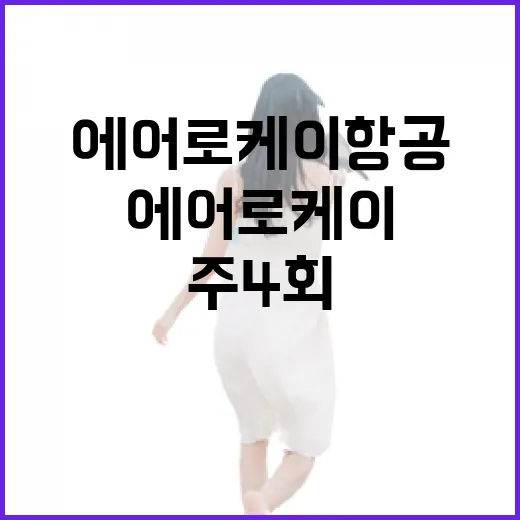 에어로케이항공 일본…