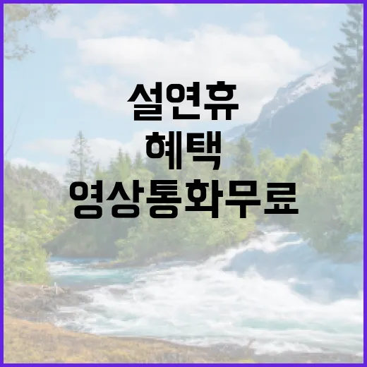 설 연휴 영상통화 …