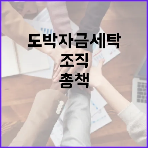 도박자금 세탁 조직…