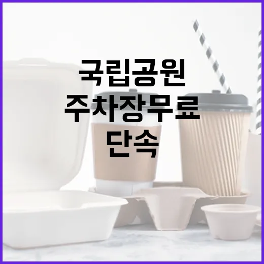 국립공원 주차장 무료 개방 단속 강화 소식!