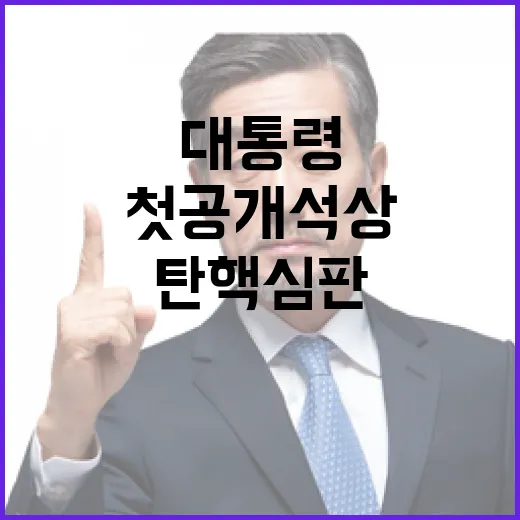 탄핵심판 尹대통령 …