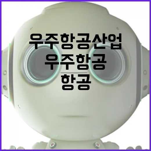 우주항공산업 국산화…