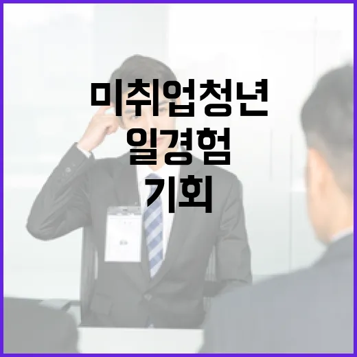 일경험 미취업 청년…