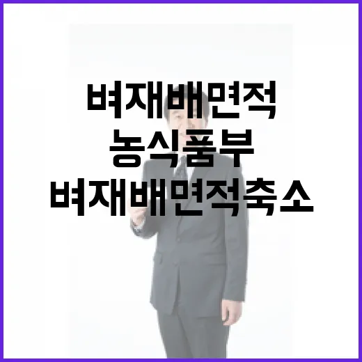 농식품부 벼 재배 …