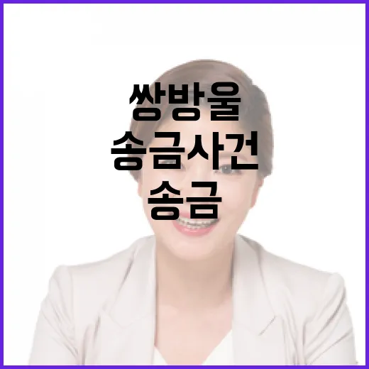 쌍방울 송금 사건 …