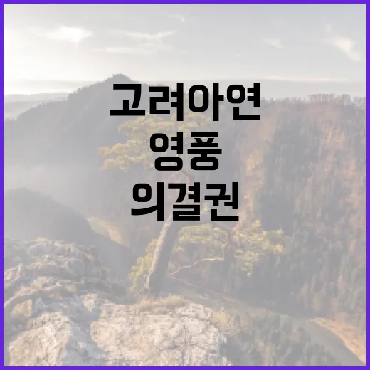 고려아연 임시주총 …