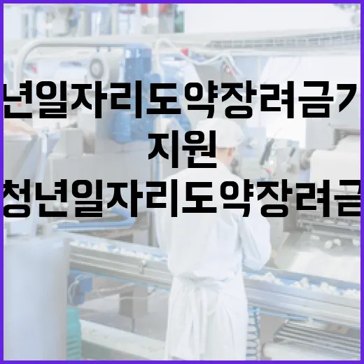 청년일자리도약장려금…