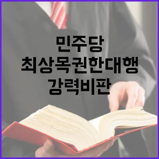 최상목 권한대행 민…