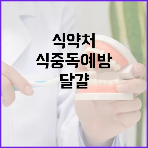 식약처 달걀 검사 …