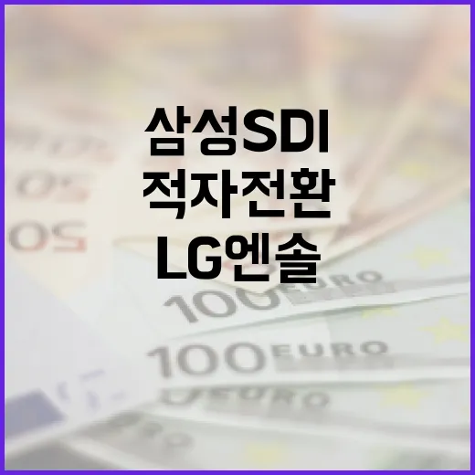 캐즘 직격탄 LG엔…