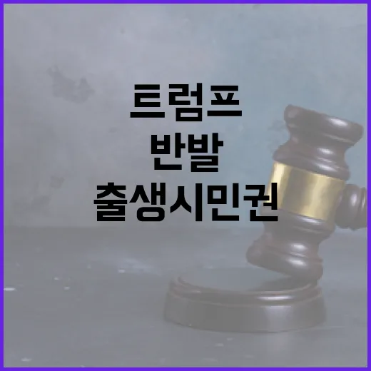 출생시민권 위헌 판…