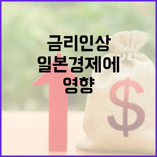 기준금리 인상 일본…