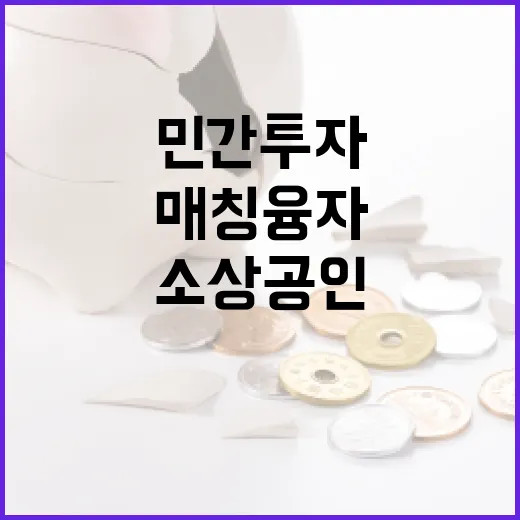 민간투자 매칭융자 …