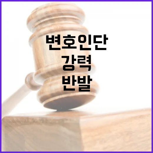 위법 논란 변호인단의 강력한 반발 및 즉각 대응