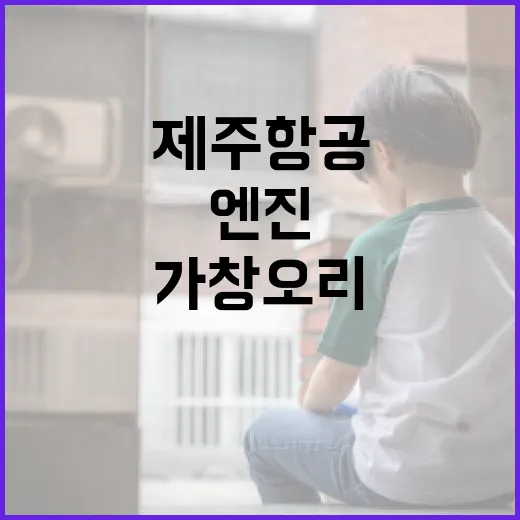 제주항공 엔진 가창오리 혈흔 발견의 충격적 사실!