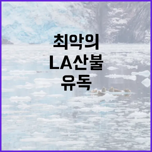 최악의 LA 산불 산사태와 유독물질 위험 경고!