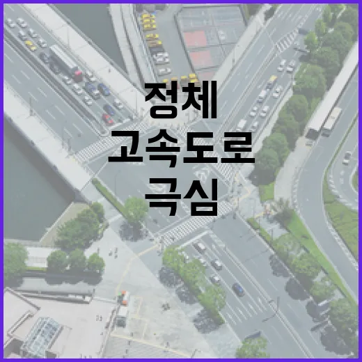 대국민 경고 서울부산 고속도로 정체 극심!