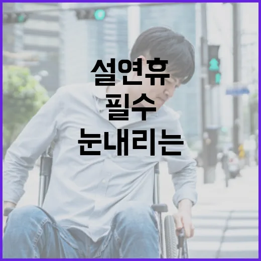 눈 내리는 설 연휴 필수 아이템 확인 필수!