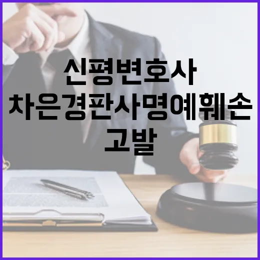 법원 차은경 판사 명예훼손 혐의 신평 변호사 고발