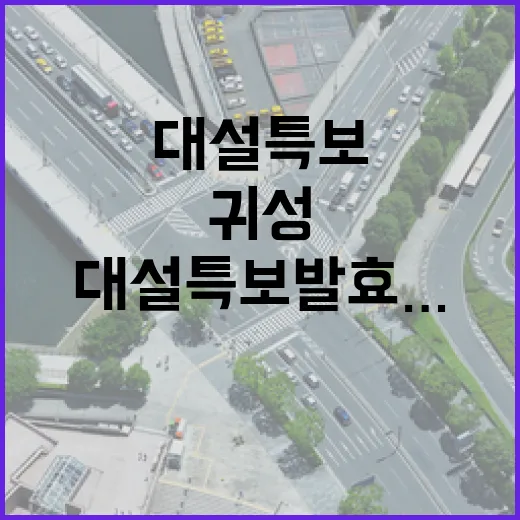 류호정 목수 변신 새로운 시작의 비밀 공개!