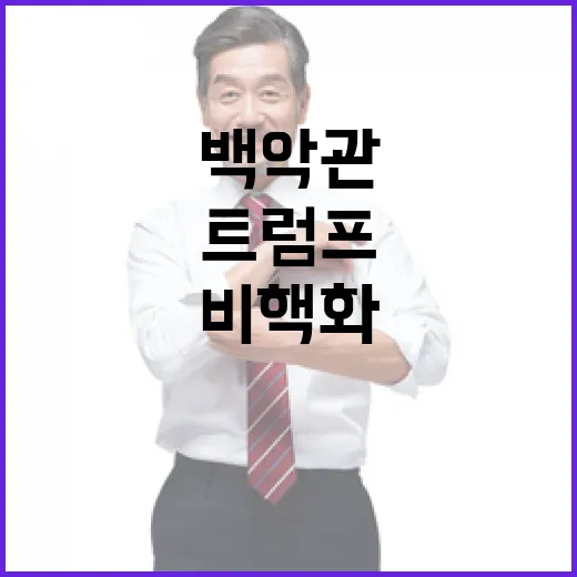 비핵화 트럼프의 새로운 전략과 백악관의 기대!