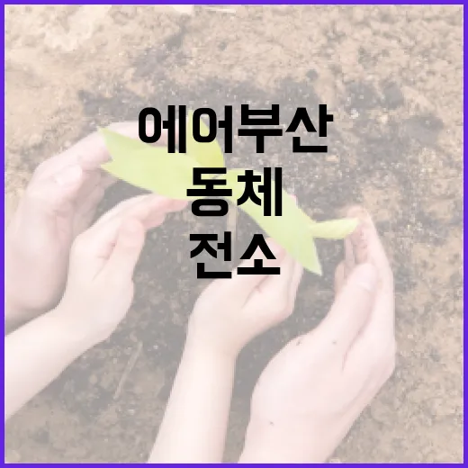 사고 조사 시작 전소된 에어부산 동체 상부!