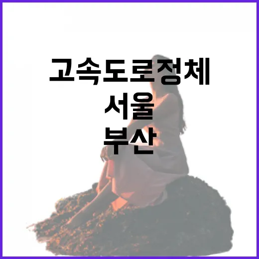 고속도로 정체 해소 부산→서울 4시간 40분!