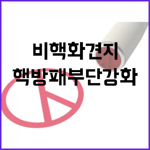 비핵화 견지? 핵방패 부단강화의 진실 공개!