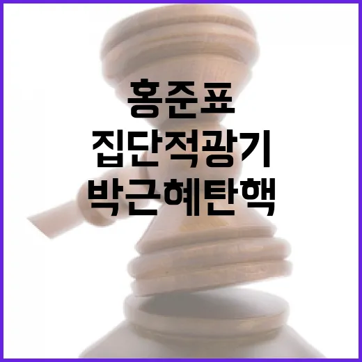 홍준표 “박근혜 탄핵 집단적 광기 영향 미쳤다!”