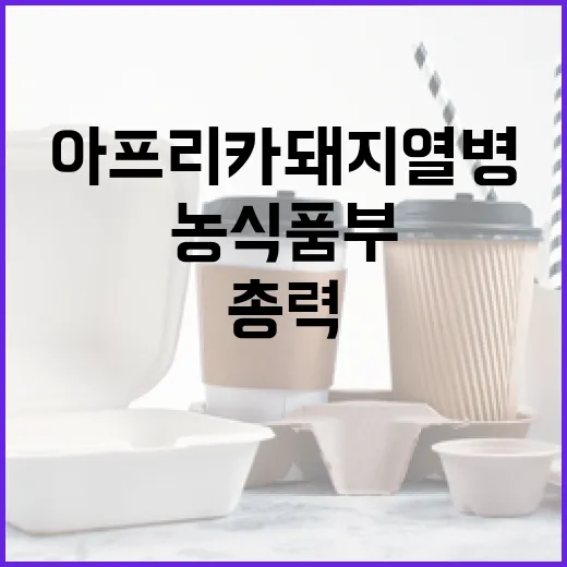 아프리카돼지열병 발생…농식품부 대응 총력!