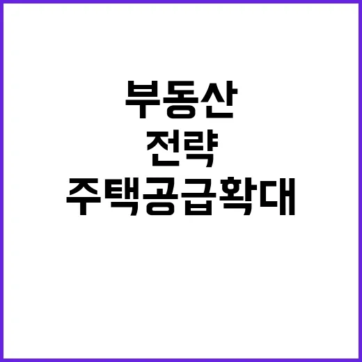 부동산 정부의 주택…