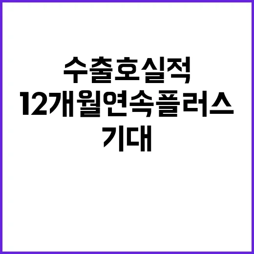 수출 호실적 12개…