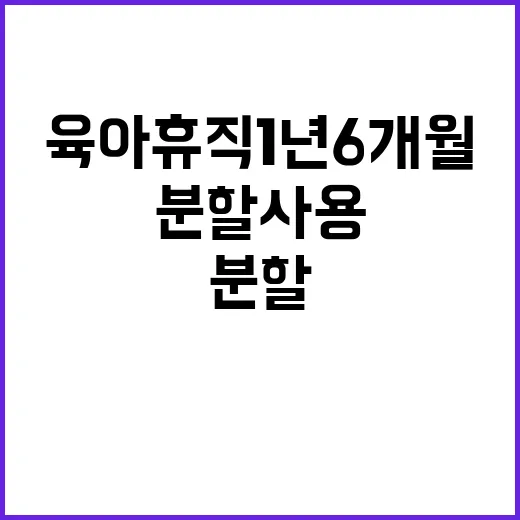 육아휴직 1년 6개…