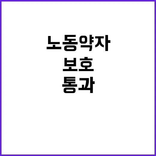 노동약자 보호 고용…