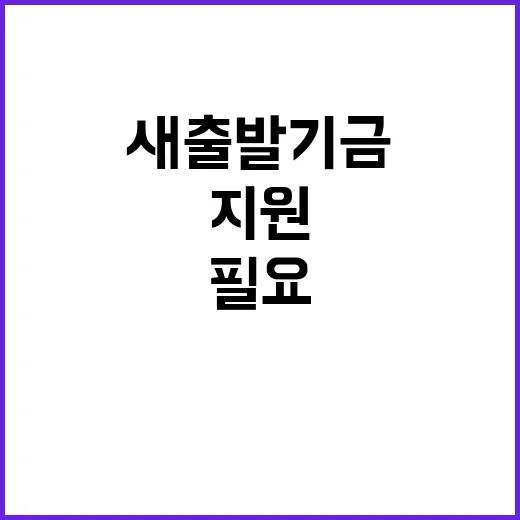 새출발기금 더 많은…