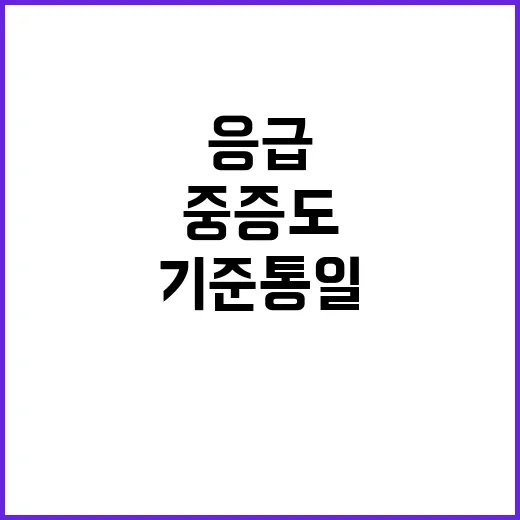 응급구조사 업무 중…