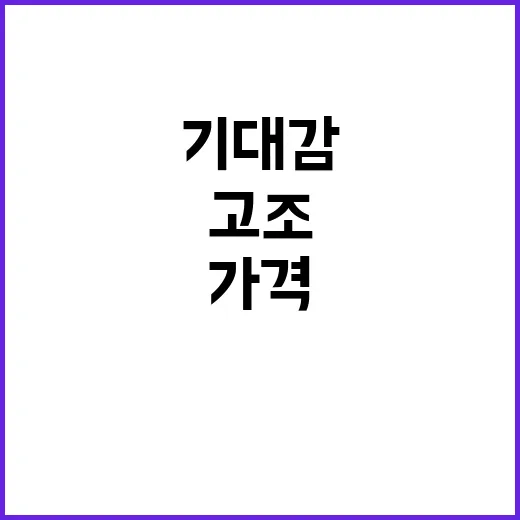 김 가격 안정화 조짐! 해수부의 기대감 고조