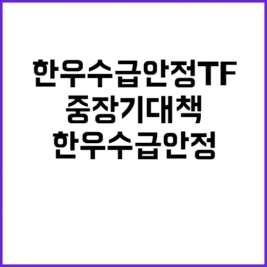 한우 수급 안정 T…