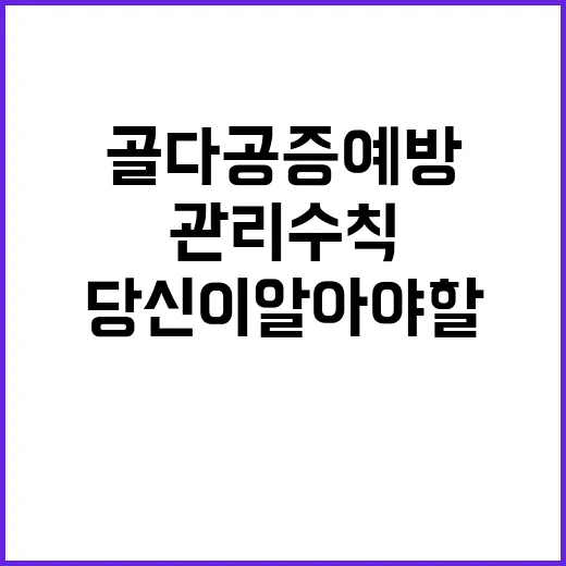 골다공증 예방 당신…