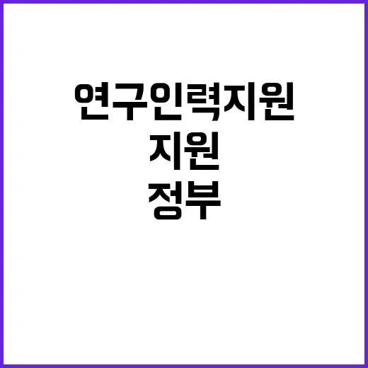 연구인력 지원 정부…